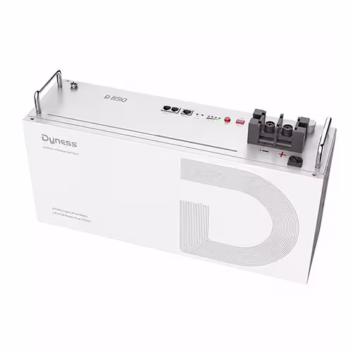 Front view of Dyness 24V 100Ah 2.56Kw DL2.5 Lithium Battery with brand logo on white background.